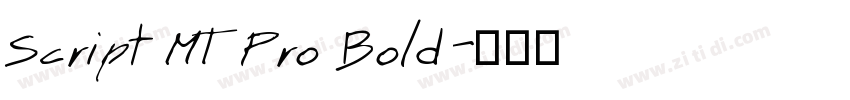 Script MT Pro Bold字体转换